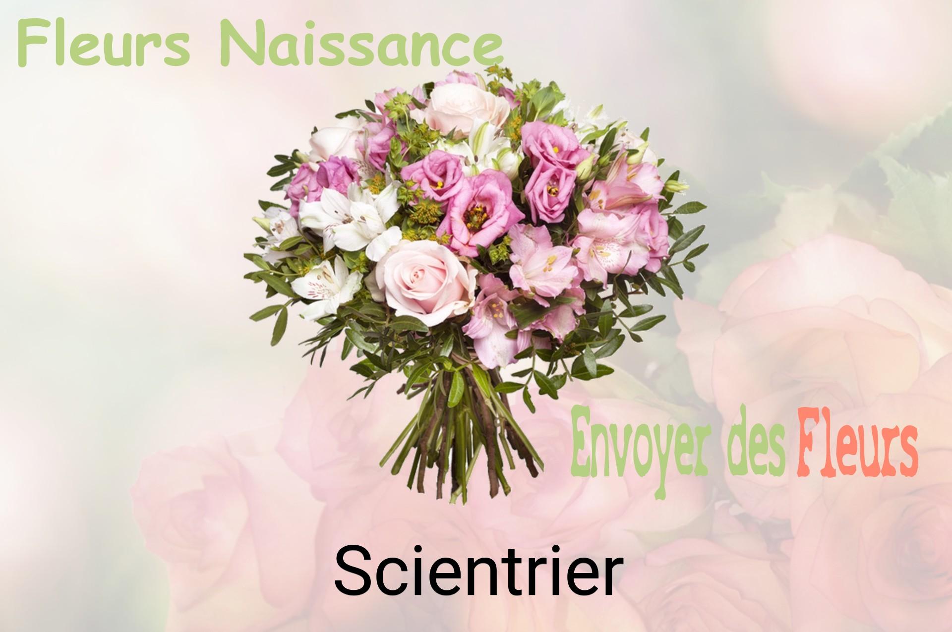 Bouquet de fleurs de naissance livré à Scientrier